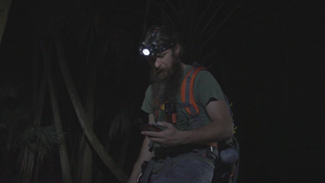 Watch The Skunk Ape Experiments Online