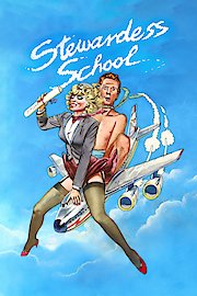 Stewardess School poster