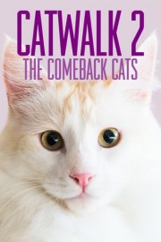 Catwalk 2: The Comeback Cats poster