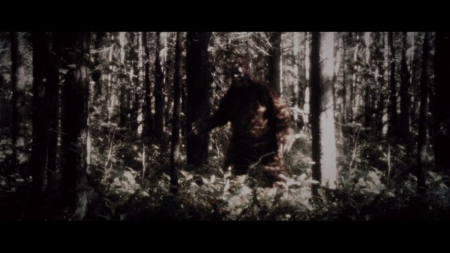 Watch Secrets of the Sasquatch Online