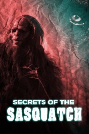 Secrets of the Sasquatch poster