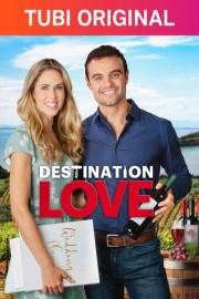 Destination Love poster