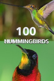 100 Hummingbirds poster