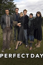 A Perfect Day poster