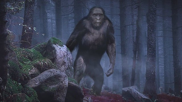 Watch On The Trail of Bigfoot: The Discovery Online