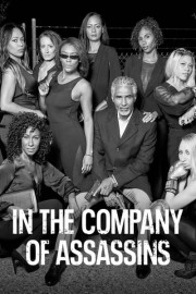 In the Company of Assassins poster