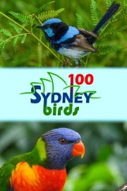 100 Sydney Birds poster