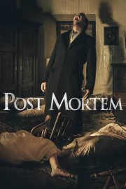 Post Mortem poster