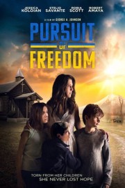 Pursuit of Freedom poster