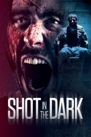 Shot in the Dark poster