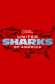 United Sharks of Amierca