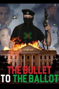 The Bullet to the Ballot