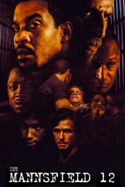 The Mannsfield 12 poster