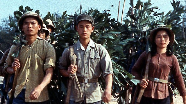 Watch Far from Vietnam Online