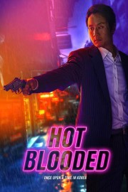 Hot Blooded: Once Upon a Time in Korea poster