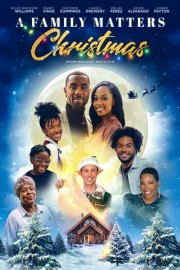 A Family Matters Christmas poster