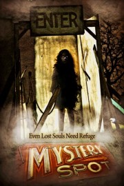 Mystery Spot poster
