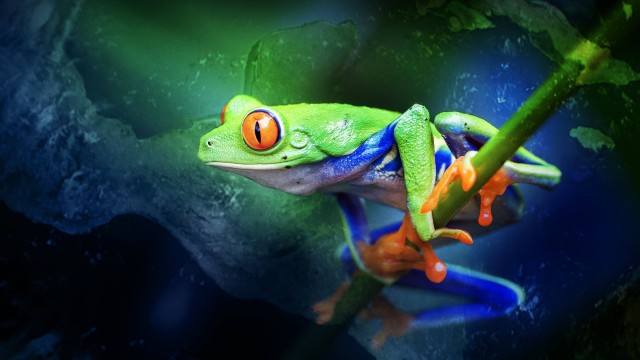 Watch Where Oceans Collide Online