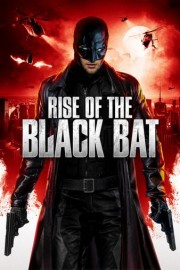 Rise of the Black Bat poster