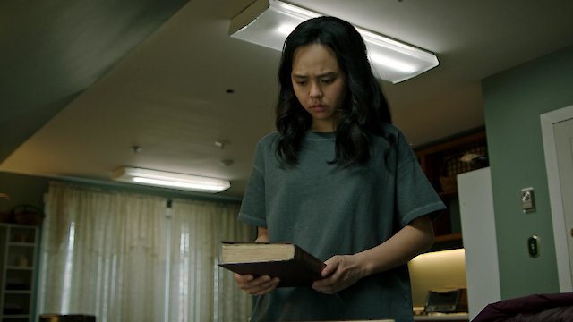 Watch The Protector Online
