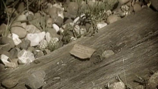 Watch The Reckoning Online