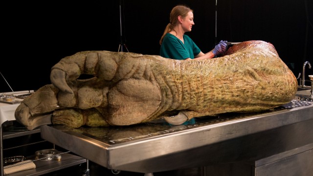 Watch T. Rex Autopsy Online