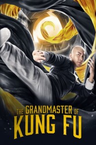 The Grandmaster of Kung Fu