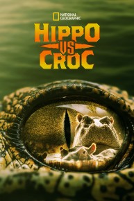 Hippo vs. Croc