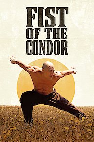 The Fist of the Condor