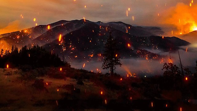 Watch Elemental Online