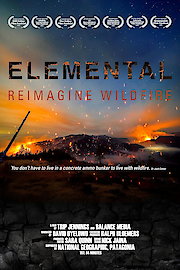Elemental poster