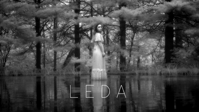 Watch Leda Online