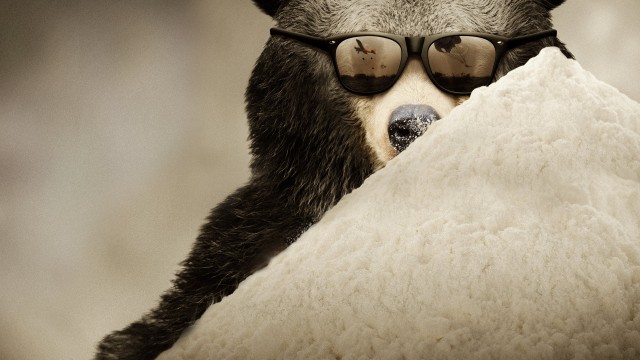Watch Cocaine Bear: The True Story Online