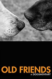 Old Friends, A Dogumentary poster