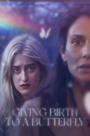 Giving Birth to a Butterfly poster