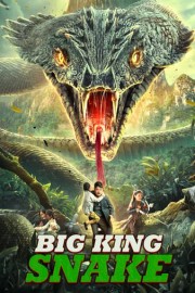 Big King Snake