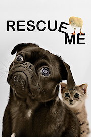 Rescue Me poster