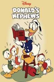 Donald Duck: Donald's Nephews poster