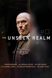 The Unseen Realm poster