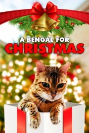 A Bengal For Christmas