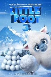 Little Foot 3 poster