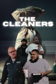 The Cleaners