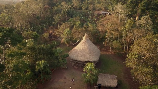 Watch Bancoco Online
