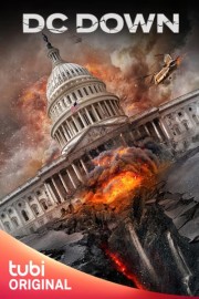 DC Down poster