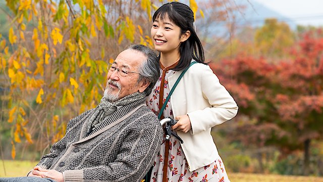 Watch Before the Sunset Online