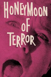 Honeymoon of Terror poster