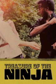 Treasure of the Ninja poster
