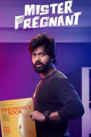 Mister Pregnant poster