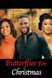 Butterflies for Christmas