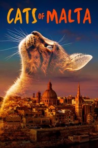 Cats of Malta